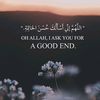 itsz_m._