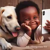 momo_momo1111