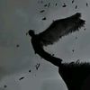 ap_29me