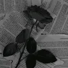 iam_the.problem