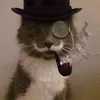 toniekorgis