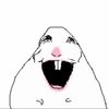 chiwii0