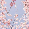 ritaj_qhtan