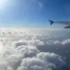 npelgrims