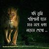 sohelrana833003