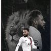 fatihachakour813