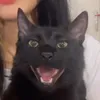 zoboomafooreal