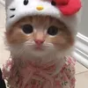 oliveeiraa_sz