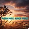 abuelo_5.0