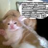 x_swamp_rat_x