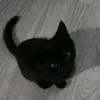 c00lkiddik1