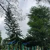candu_candaa01