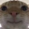 user18430263287348