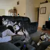 mikegrinstead66