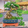 fubaoquan