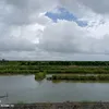 animexfushi