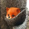 fox_cute