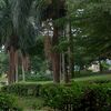 ensafmohammad157