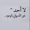helahelaabidi