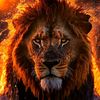 lionfire0212