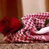 dy6lo944rjrz