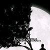 layme157
