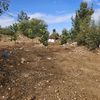 nezahbenaharon