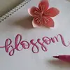 owesomeblossoms254