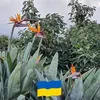 joergdombrowski