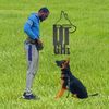 dogtrainergh