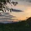 liviazinha79
