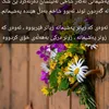 hamarang_2223