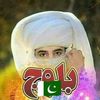 shirbaz302