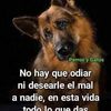 waldoroque