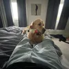 grayleaper_