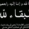 user8290684328987