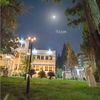taher_alshelmane