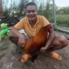 luongtruonghai8989