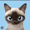 oni_cat82