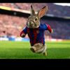 josueestebannn