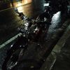 bimm_083