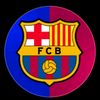 fcb13gmail.com