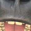 evadeandgagplayer12