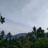 syahlin..87