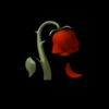 handdy_sapputra
