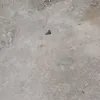 dubxghhjij4
