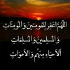 afzalisafi6