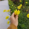 hangsnow2