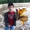 userro6eldkhe0