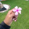 hawa_daudiii